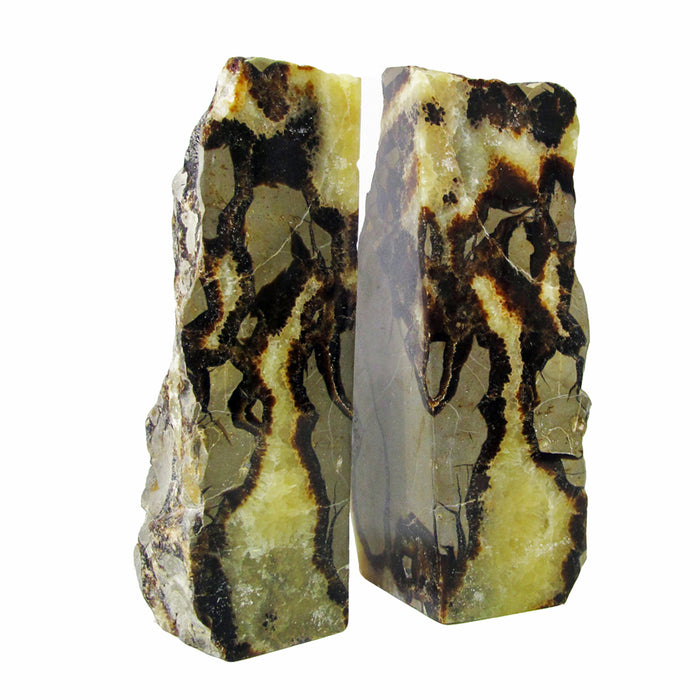 Septarian Bookends