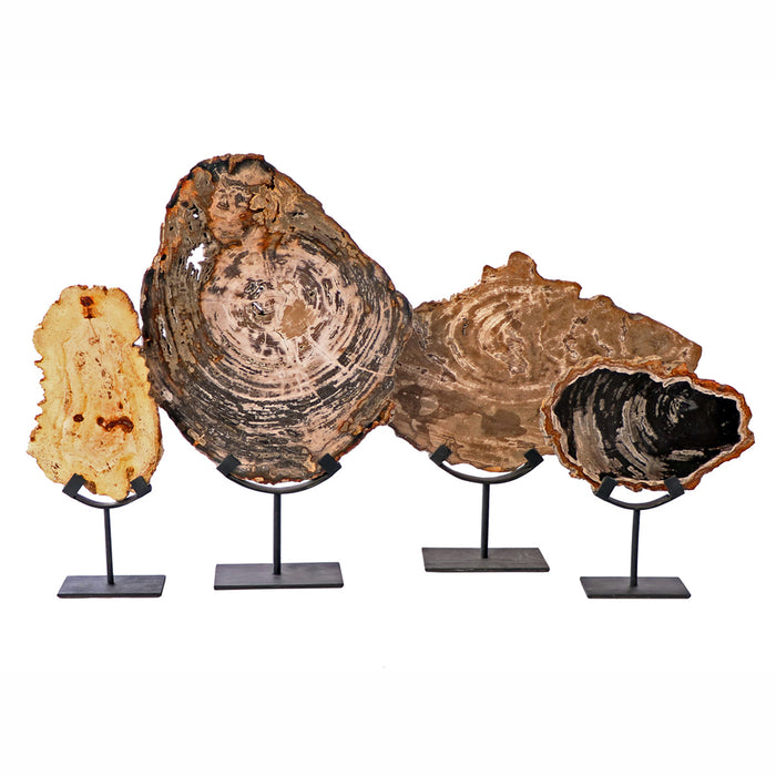 Petrified Wood on Iron Stand