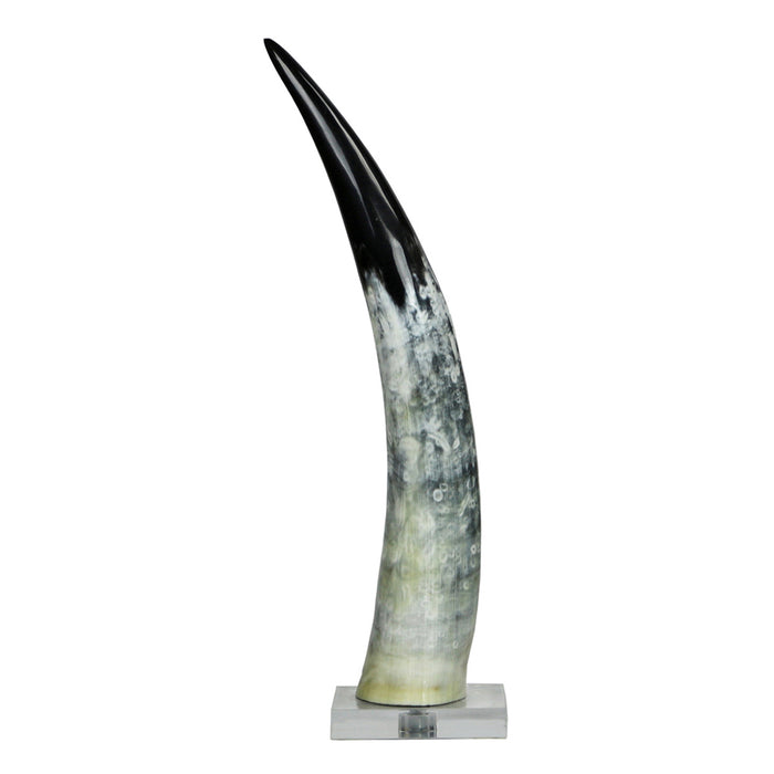 Black and White Cow Horn on Base