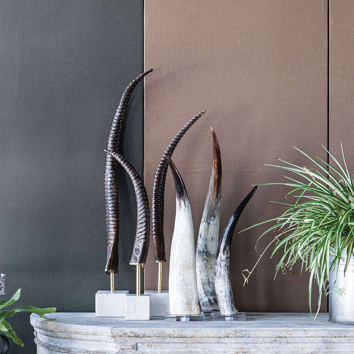 Black and White Cow Horn on Base