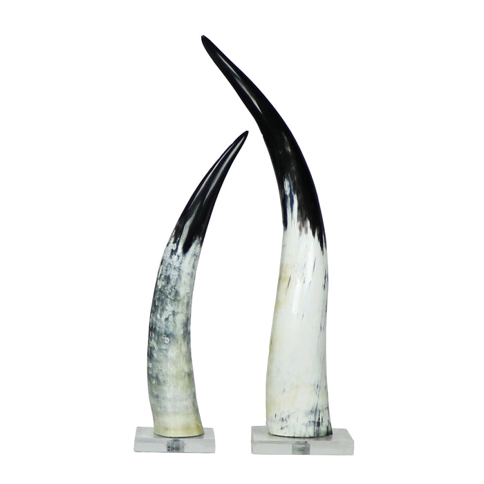 Black and White Cow Horn on Base
