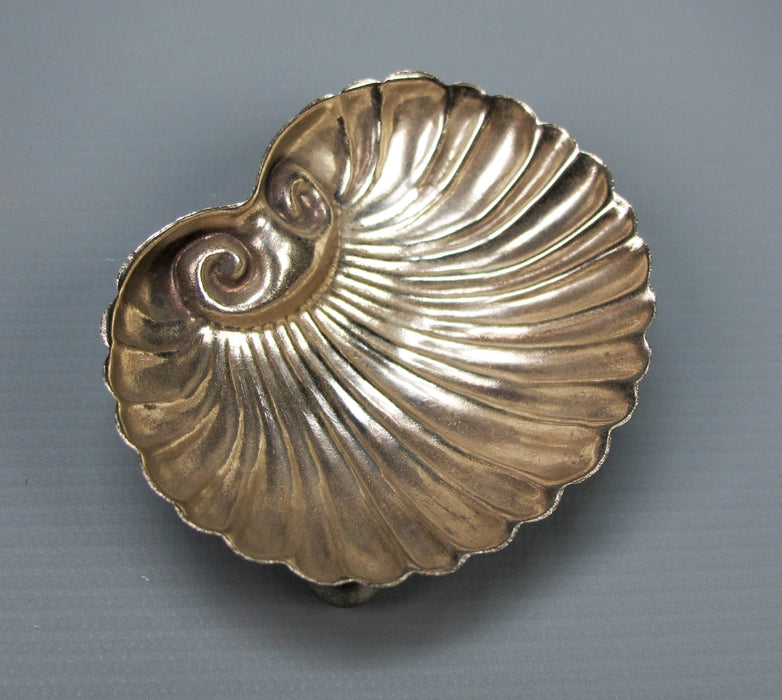 Shell Dish