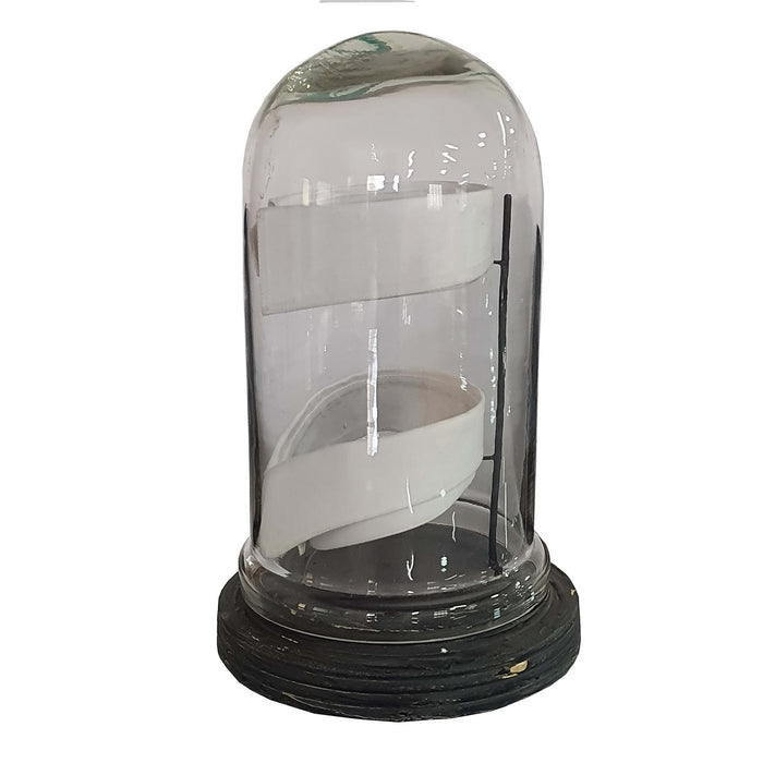 Gentleman's Collar Display Under Glass