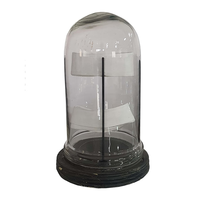 Gentleman's Collar Display Under Glass