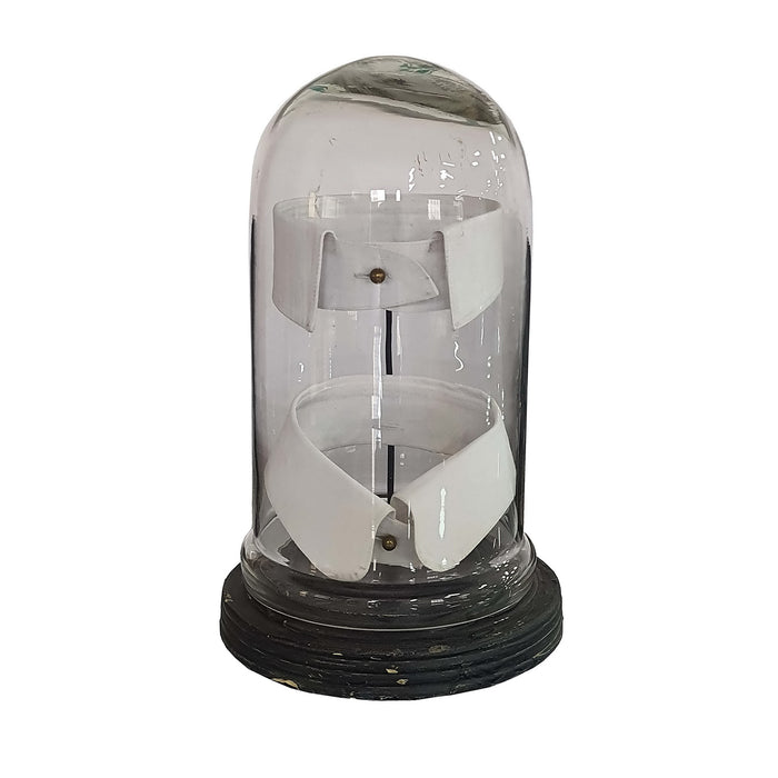 Gentleman's Collar Display Under Glass