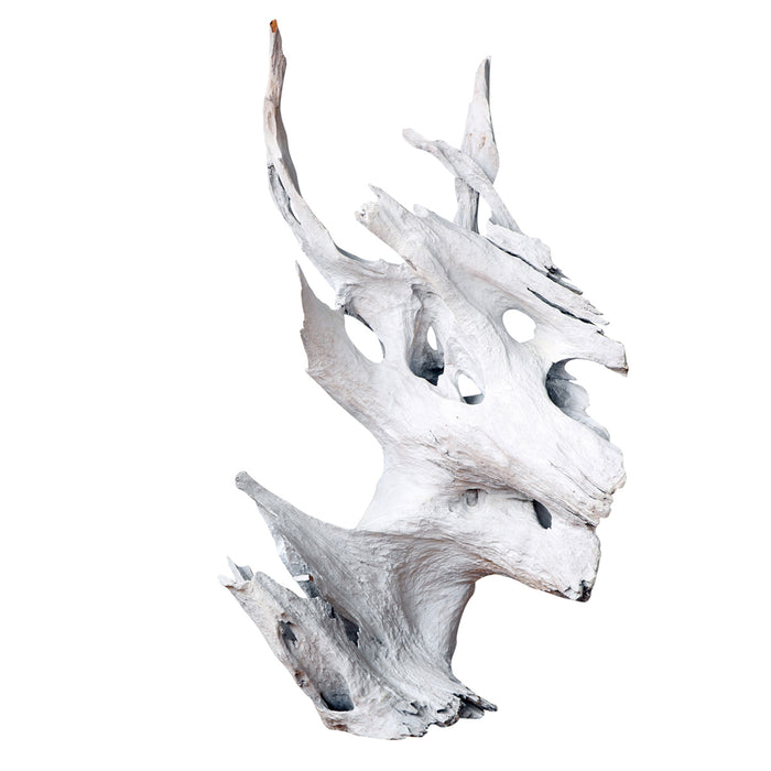 Teak Root Sculpture, Tall