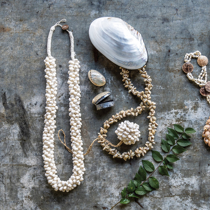 Sanibel Shell Strand