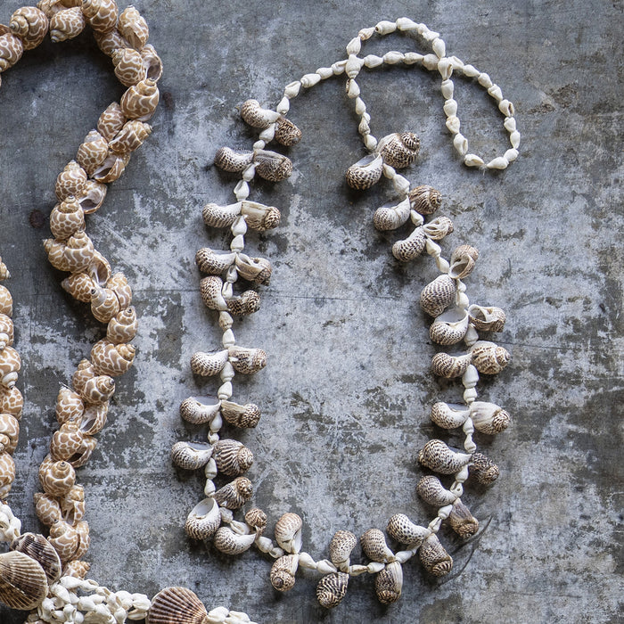 Captiva Shell Strand