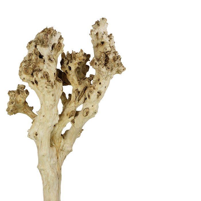 Burly Wood Sculpture Tall