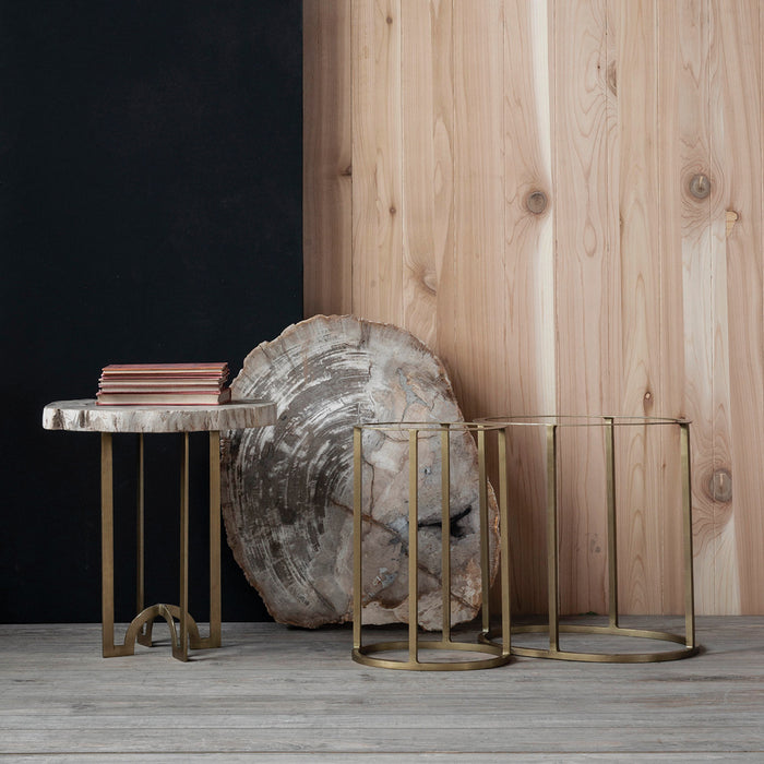 Petrified Wood Table Top