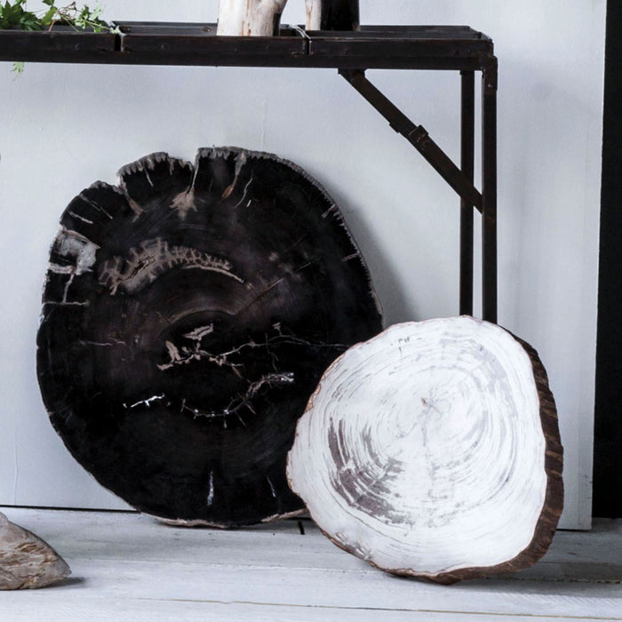 Petrified Wood Table Top