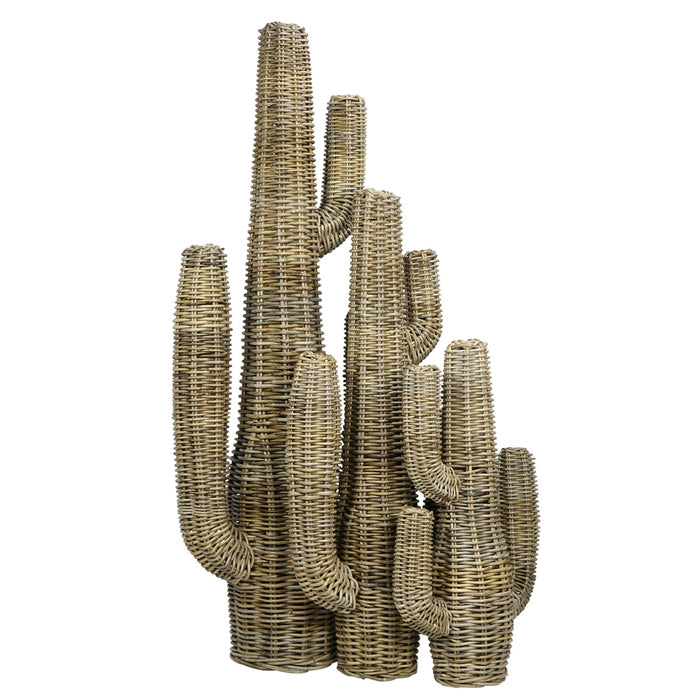 Rattan Cactus