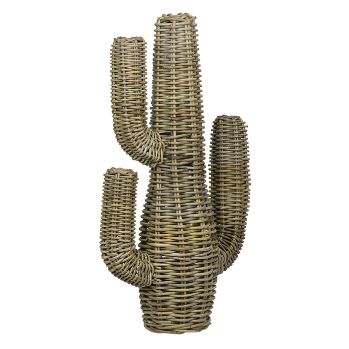 Rattan Cactus