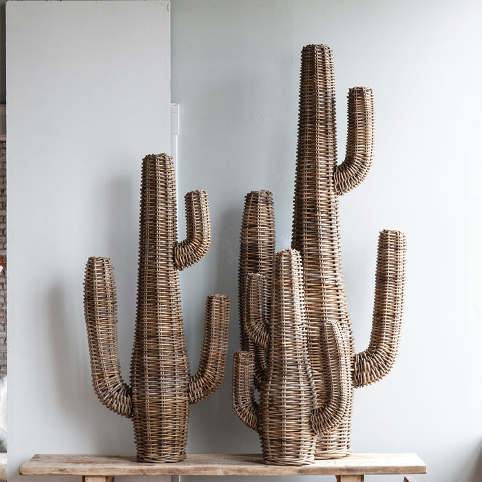 Rattan Cactus