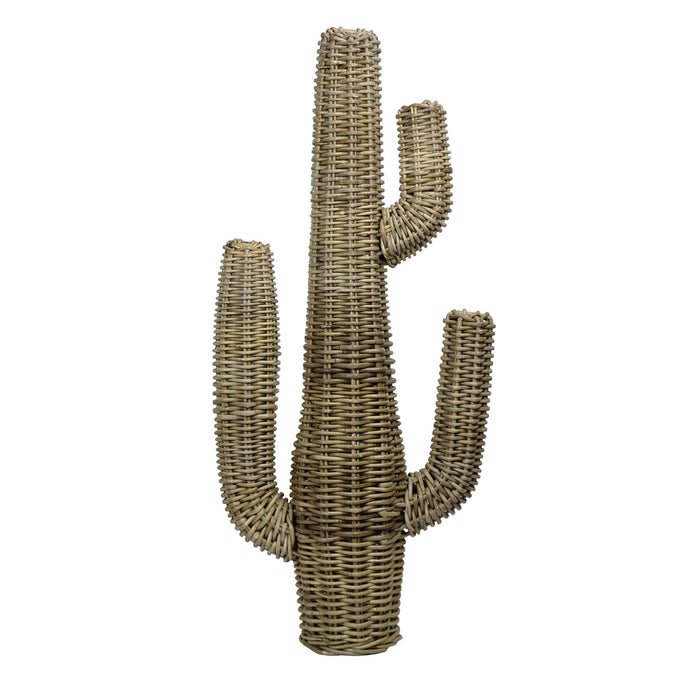 Rattan Cactus