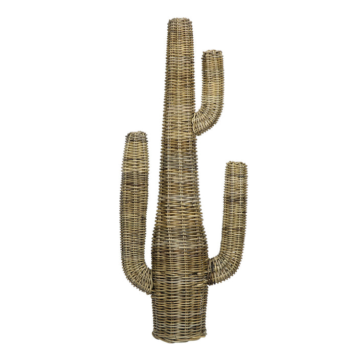 Rattan Cactus